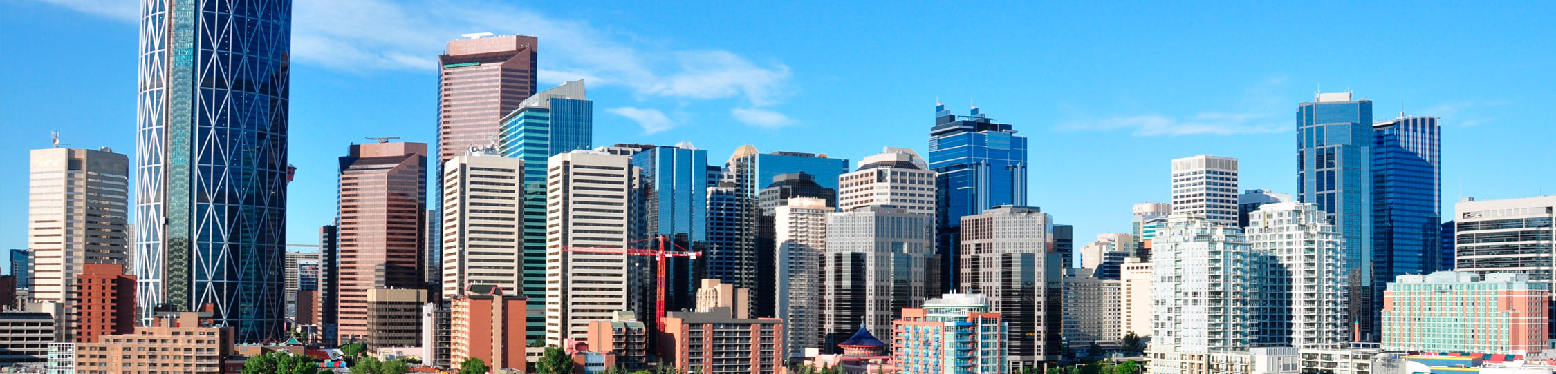 Cheap Flights Kitchener to Calgary (YKF) to (YYC) Flights.ca